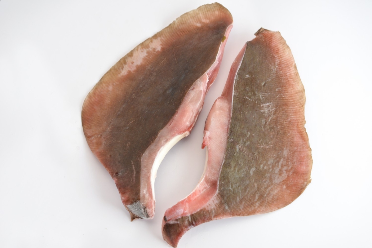 IKAN PARI FROZEN – C&S Frozen Food